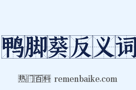 鸭脚葵反义词是什么意思的图片